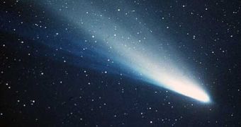 Halley's comet
