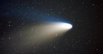 Comets may have brought crucial gases to our planet's atmosphere, thus favoring the emergence of life