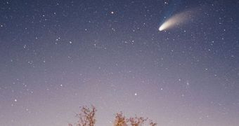 Comets May Have Brought Life Here