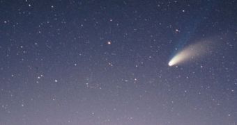 Comets may have seeded Earth with amino acids