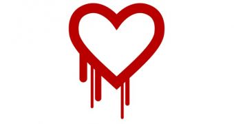 Users advised to change their passwords as websites rush to fix Heartbleed vulnerability