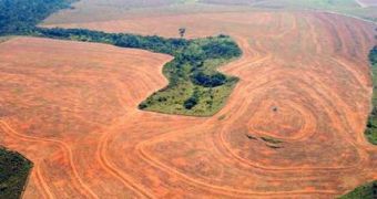 Deforestation argued to be a grave problem in Papua New Guinea