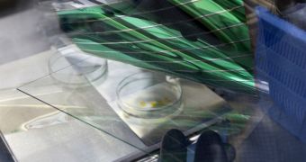 Company Invents Flexible, Partially Transparent Solar Panels