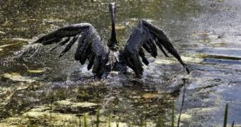 Enbridge now fined for Kalamazoo oil spill