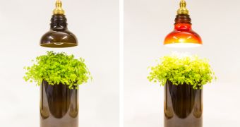 Company Makes Lamps from Recycled Glass Bottles - Video