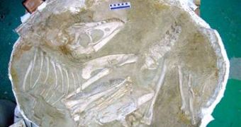 Complete Dinosaur Skeleton Found in Mongolia