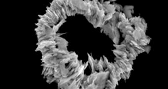 These flake-shaped nanoparticles are made up of the magnet material neodymium-iron-boron