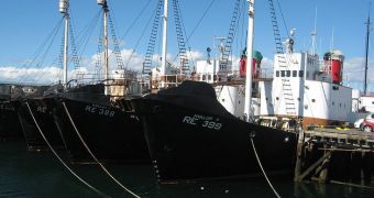 A photo showing whaling ships in Iceland