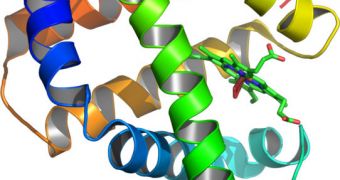 Designing proteins via computational methods has just been proven possible