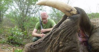 German conservation official under fire for killing elephant, posing with its corpse