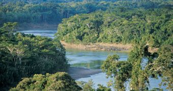 Conservationist Accuses Amazon's Dams of Causing Pollution