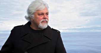 Conservationists Display Their Artistic Talents, Show Support for Paul Watson