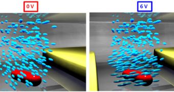 Applied voltage creates a nematic twist in liquid crystals (blue) around a nanorod (red) between two electrodes in an experiment at Rice University