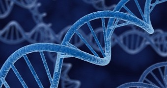 Researchers find a gene that can slow the aging process