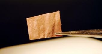 Image of copper microchip, developed to work like detonator for explosive compounds