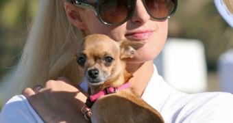 Paris Hilton thought Tinkerbell was dead and “freaked out”