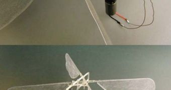 This montage shows close-up photos of the new ornithopter produced by Cornell University robotics experts