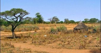 New project aims at saving the Sahel region from desertification