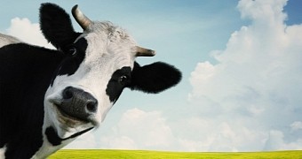 Weird beauty products contain cow dung