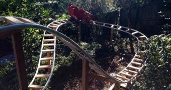 California man built a roller coaster in his backyard
