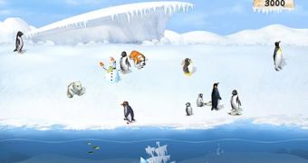 Happy little penguin colony