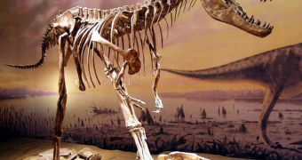 Cretaceous dinosaurs needed to steer clear of numerous wildfires, new study shows
