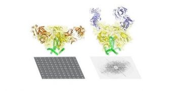 The new HIV envelope protein model developed in a recent study
