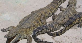 Ancestors of modern crocodiles had an appetite for human flesh