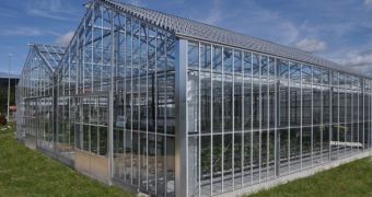 This Basque Country greenhouse exploiting the revolutionary crop-friendly photovoltaic module