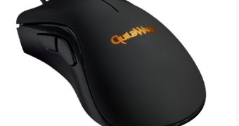 The Razer DeathAdder Mouse, Guild Wars edition