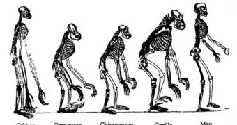 It's currently uncertain which direction our bodies will take, in terms of evolution