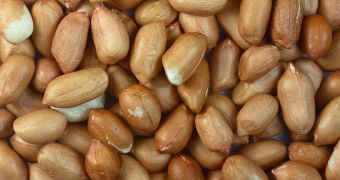 University of Cambridge experts find a way to cure peanut allergies in children