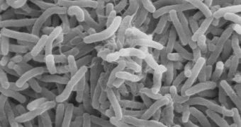 Additional research into a specific enzyme could help researchers devise a cure for cholera