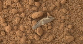 The piece of plastic that fell off Curiosity