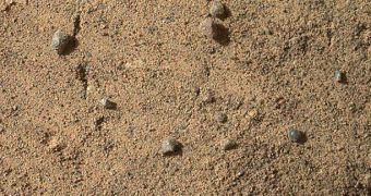 Close view of windblown sand on Rocknest