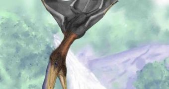 Such depictions of pterosaurs are probably incorrect, a new study indicates
