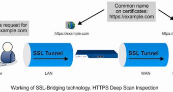 SSL Bridging technology diagram