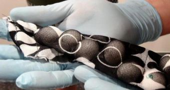 Australian authorities arrested a man who was trying to sneak 16 wild bird eggs through customs
