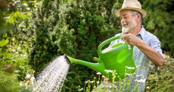 Researchers say people over the age of 60 are likely to live longer if they take up gardening, complete DIY projects
