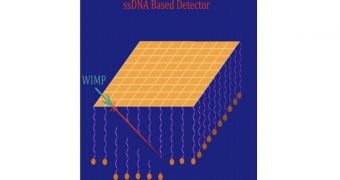 This figure shows how the DNA-based, directional dark matter detector works