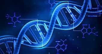 Study finds DNA can survive in space conditions