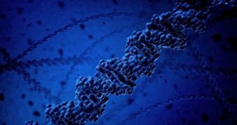 Study demonstrates previously-unknown function of DNA