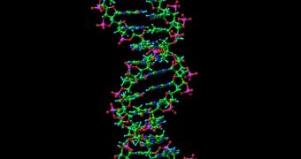 About one in 30 million DNA base pairs mutate from one generation to the other