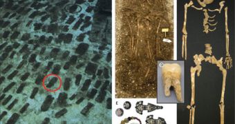 (A) the cemetery in German Bavaria; (B) the grave; (C) the skeleton of one of the victims; (D) the tooth that provided the DNA sample; (E) artifacts recovered from the burial site