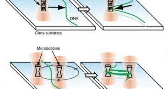 Diagram showing how a DNA strand can be manipulated with the help of the newly invented microdevice