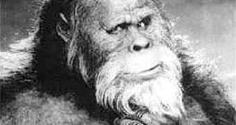 Researchers claim Bigfoot is part human, part primate
