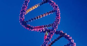 The usual double-helix structure of DNA becomes obsolete in the new Cornell University research