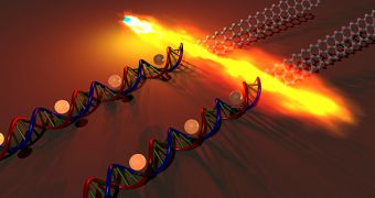 DNA makes graphene transistors