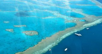 Global warming could drive all corals out of the Great Barrier Reef