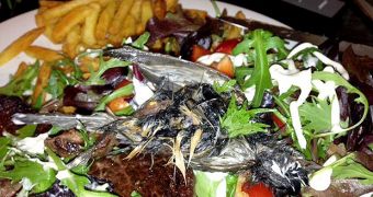 Couple finds dead bird in their salad